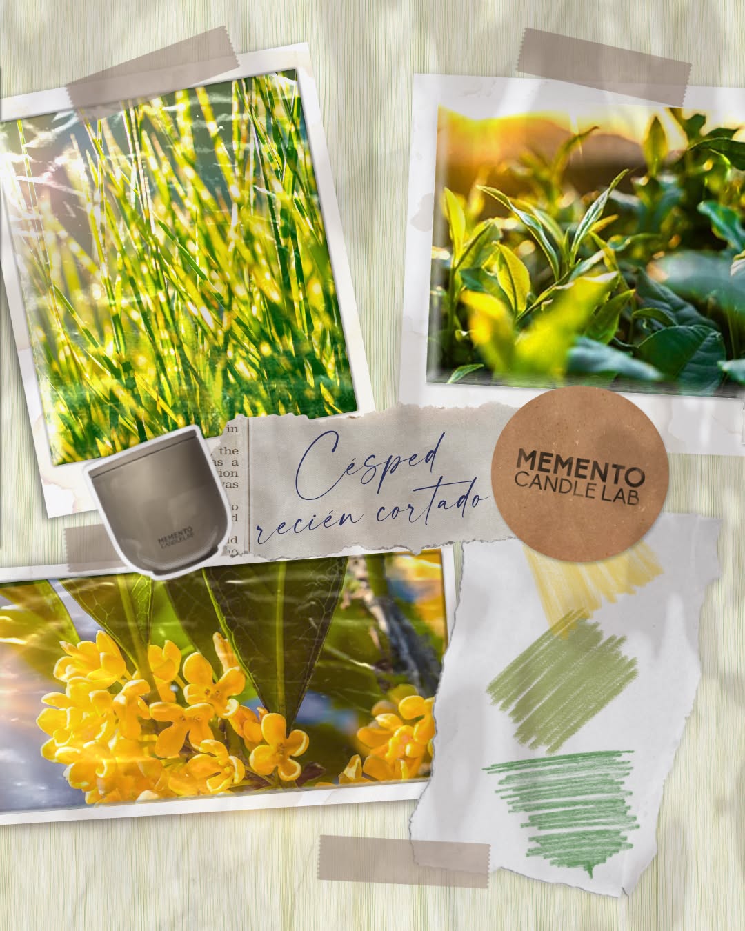 Césped recién cortado nació del olor verde y limpio tras el primer corte ✂️🍃
Hierba húmeda 💧, aire claro ✨, y la sensación de un entorno recién despertado 🌱Una mezcla vegetal, nítida y brillante 🌾
que huele a césped vivo 🍀 y naturaleza sin artificios ☀️Verde fresco 🟢, amarillo tierno 💛 y luz filtrada por hojas 🌼#MementoCandleLab #ProcesoCreativo #VelasArtesanales #Moodboard #PaletaDeColores #InspiraciónBotánica #VelasConHistoria #DiseñoSensorial #AromasQueCuentan #VelasVeganas #DecoraciónEmocional #CandleLovers